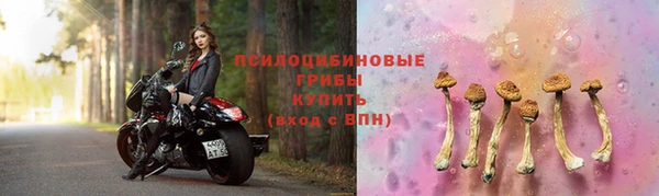 кокс Баксан