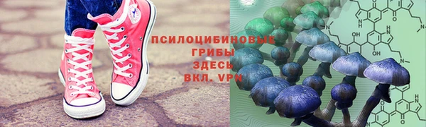 первитин Белоозёрский